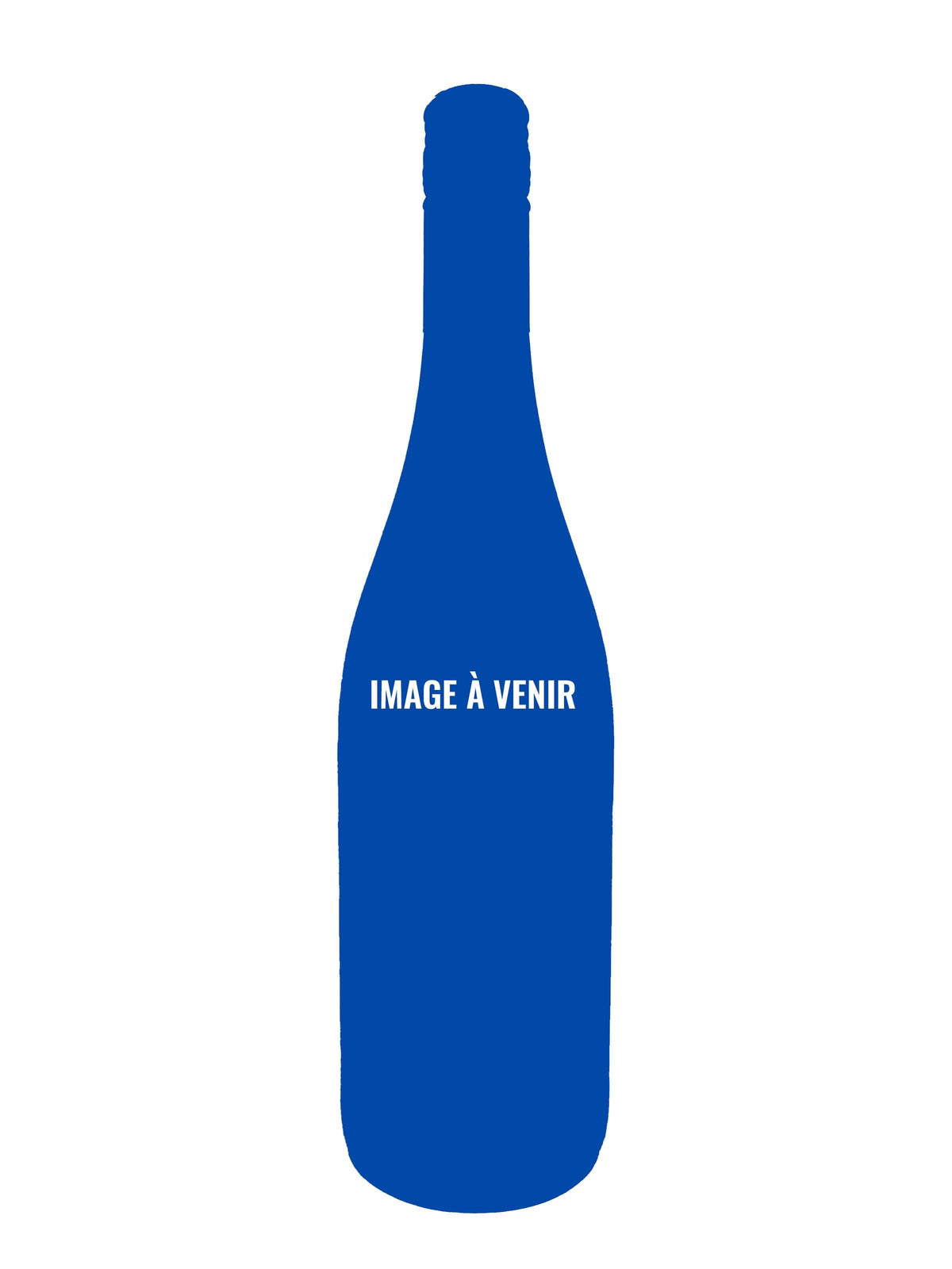 Seigneurie de Liret Surprenante Révélation, Riesling - Vin blanc de la Seigneurie de Liret